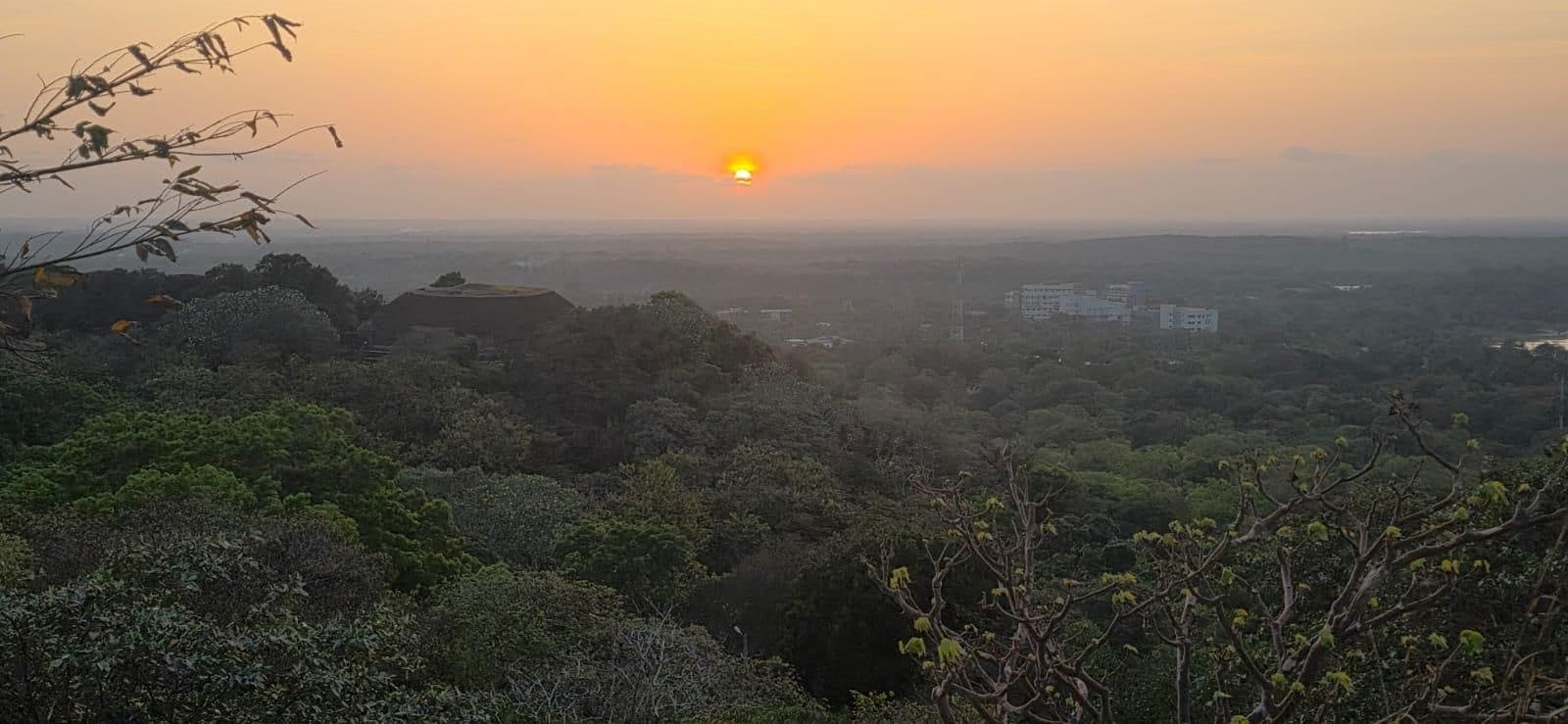 Zonsondergang boven een uitgestrekt bos